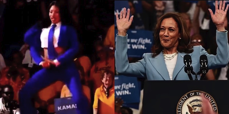 megan thee stallion kamala harris